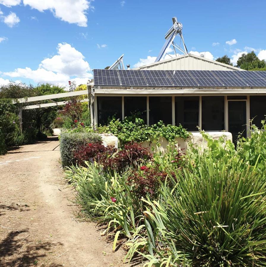 Strawbale Cottage - Wingspread Garden Strath Creek Eksteriør bilde