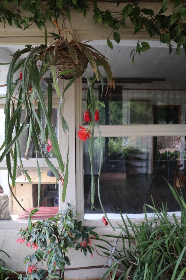 Strawbale Cottage - Wingspread Garden Strath Creek Eksteriør bilde