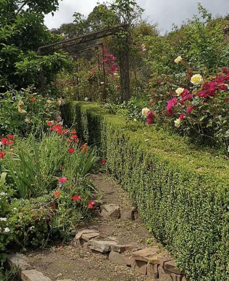 Strawbale Cottage - Wingspread Garden Strath Creek Eksteriør bilde